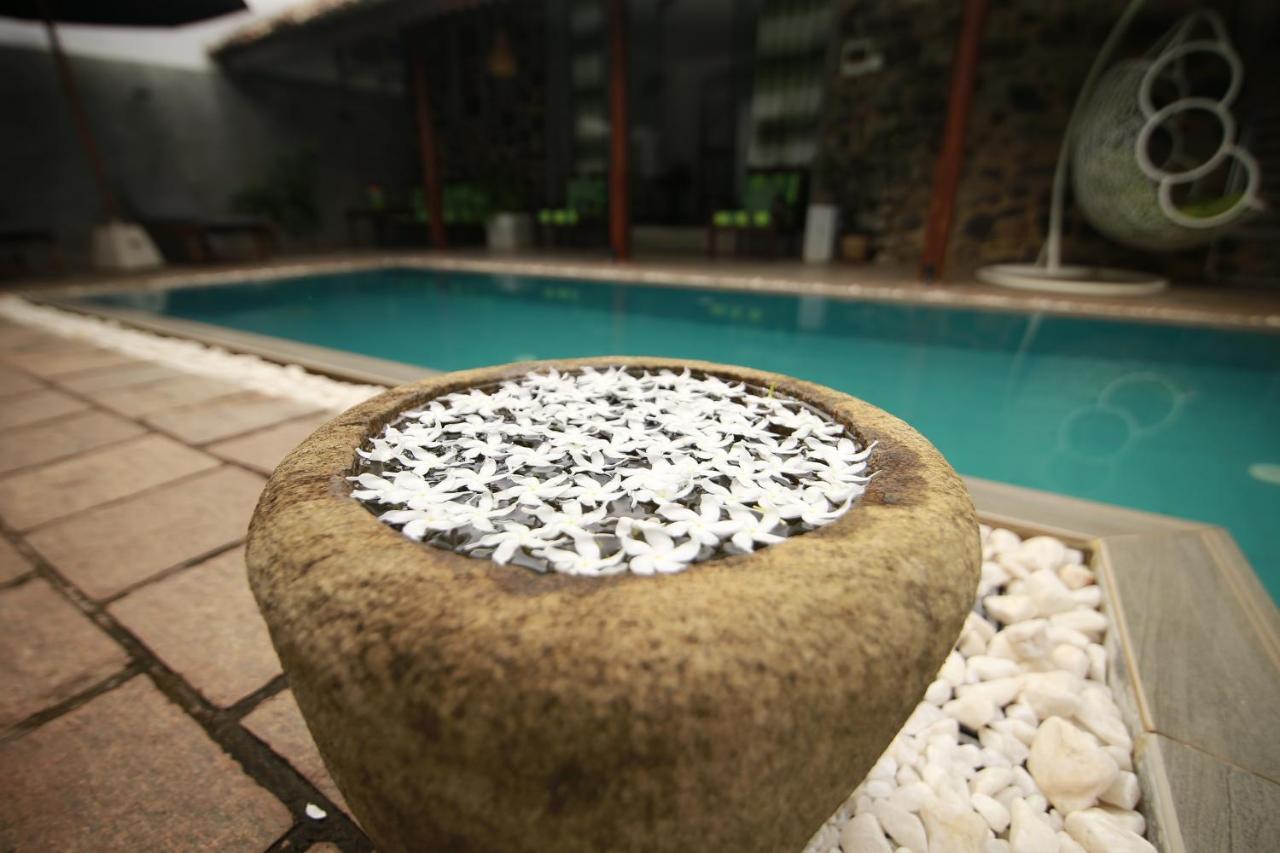 Rock Elephant Villa Hikkaduwa Dış mekan fotoğraf